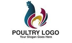 bestpoultryfarms.com